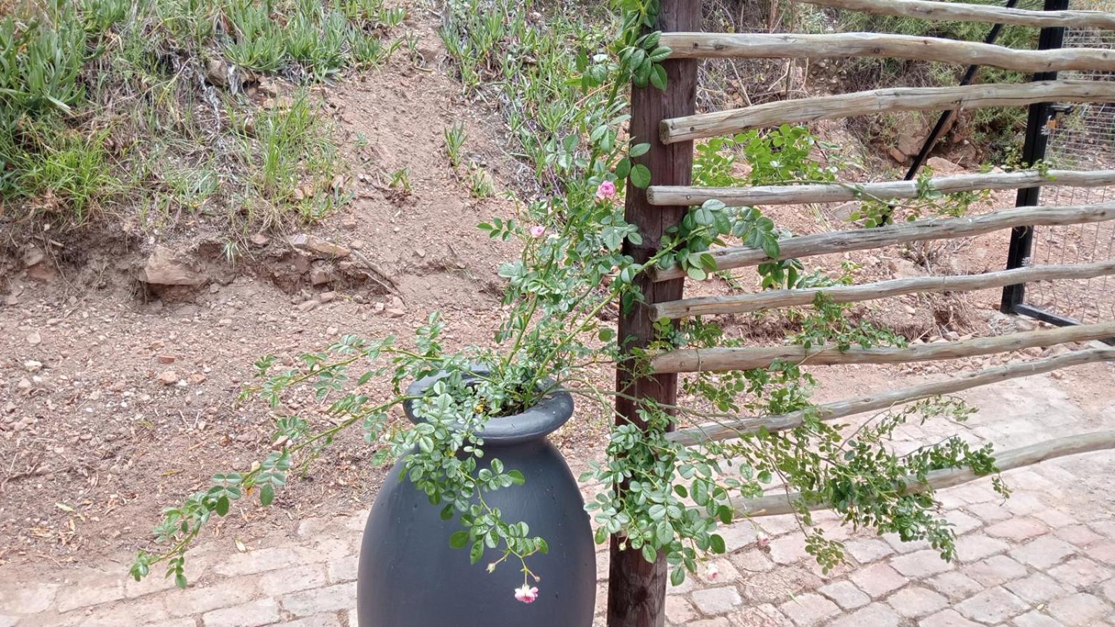 Kranskloof Country Lodge 奥茨胡恩 外观 照片