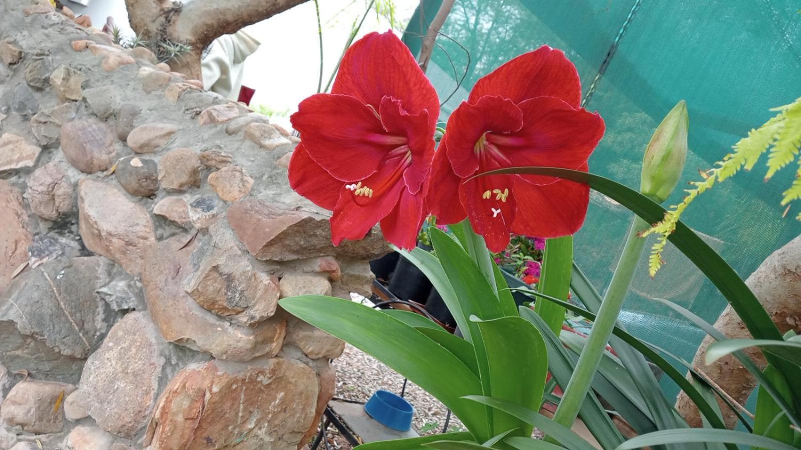 Kranskloof Country Lodge 奥茨胡恩 外观 照片