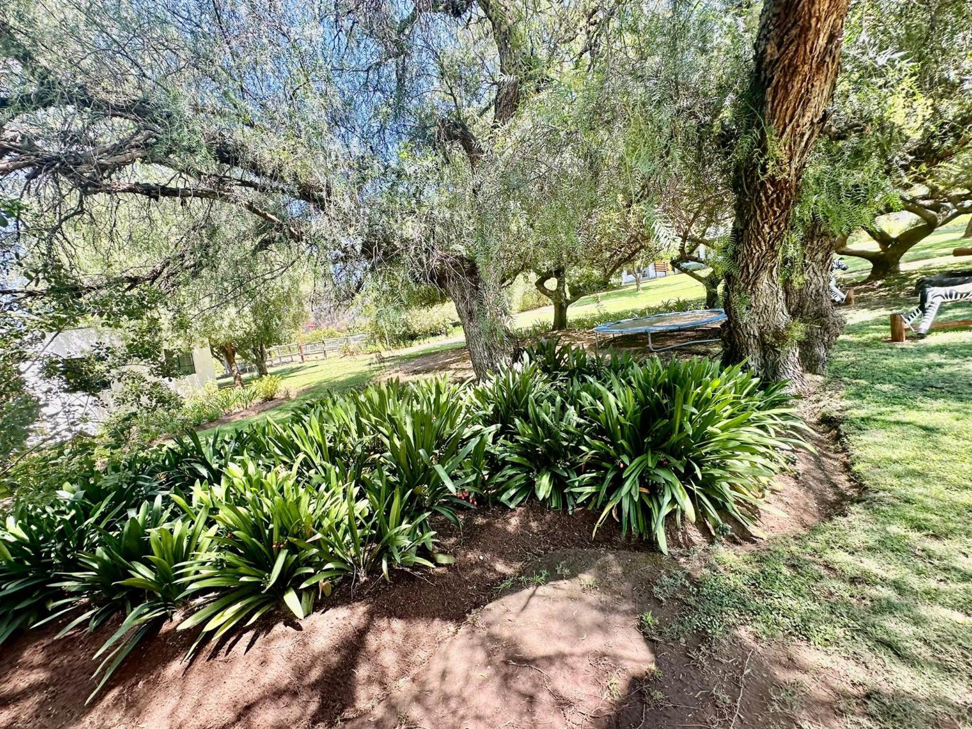 Kranskloof Country Lodge 奥茨胡恩 外观 照片