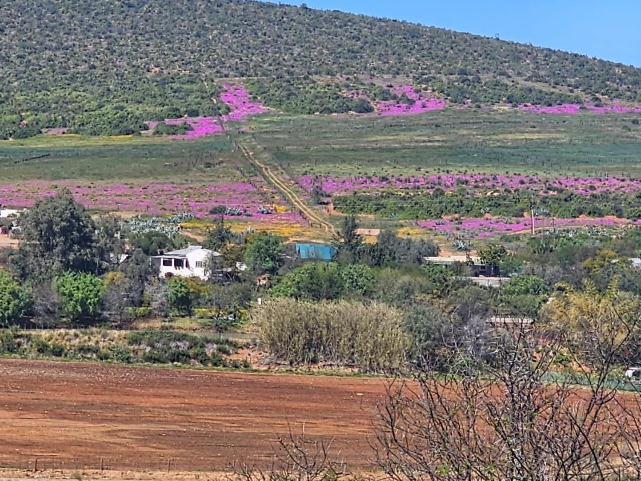 Kranskloof Country Lodge 奥茨胡恩 外观 照片