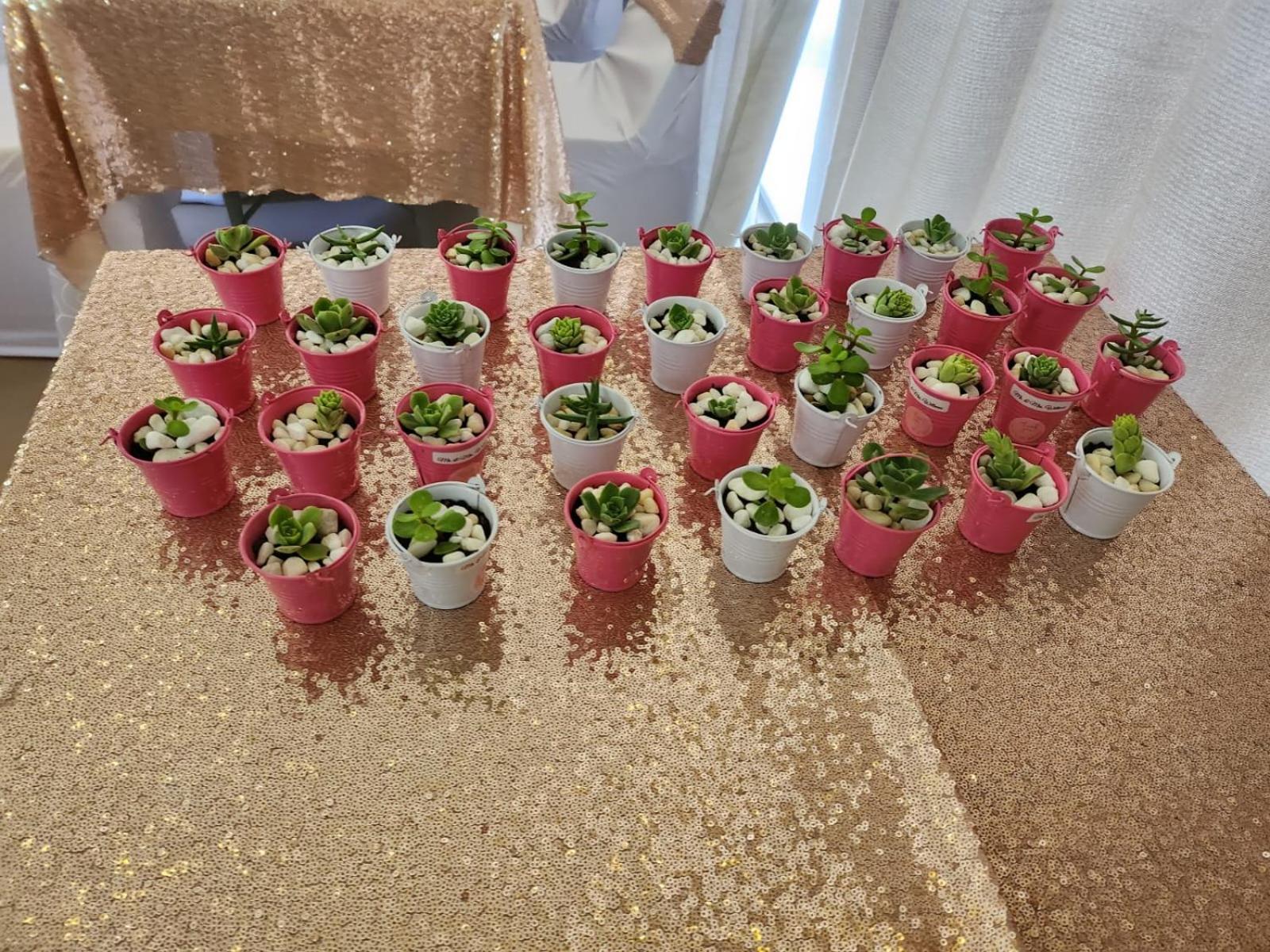 Kranskloof Country Lodge 奥茨胡恩 外观 照片